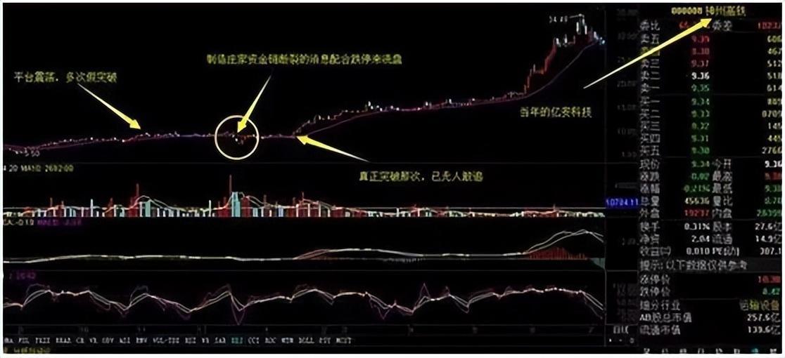 金年会官网首页ADA冲破19.99美元大关，牛市是否已来临？