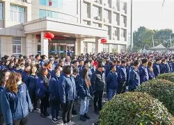MATIC上扬势惊人，一夜飙升21.82%，加密市场沸腾