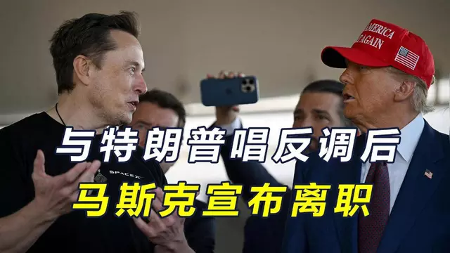 马斯克再次发推，SHIB瞬间上上扬LDO%