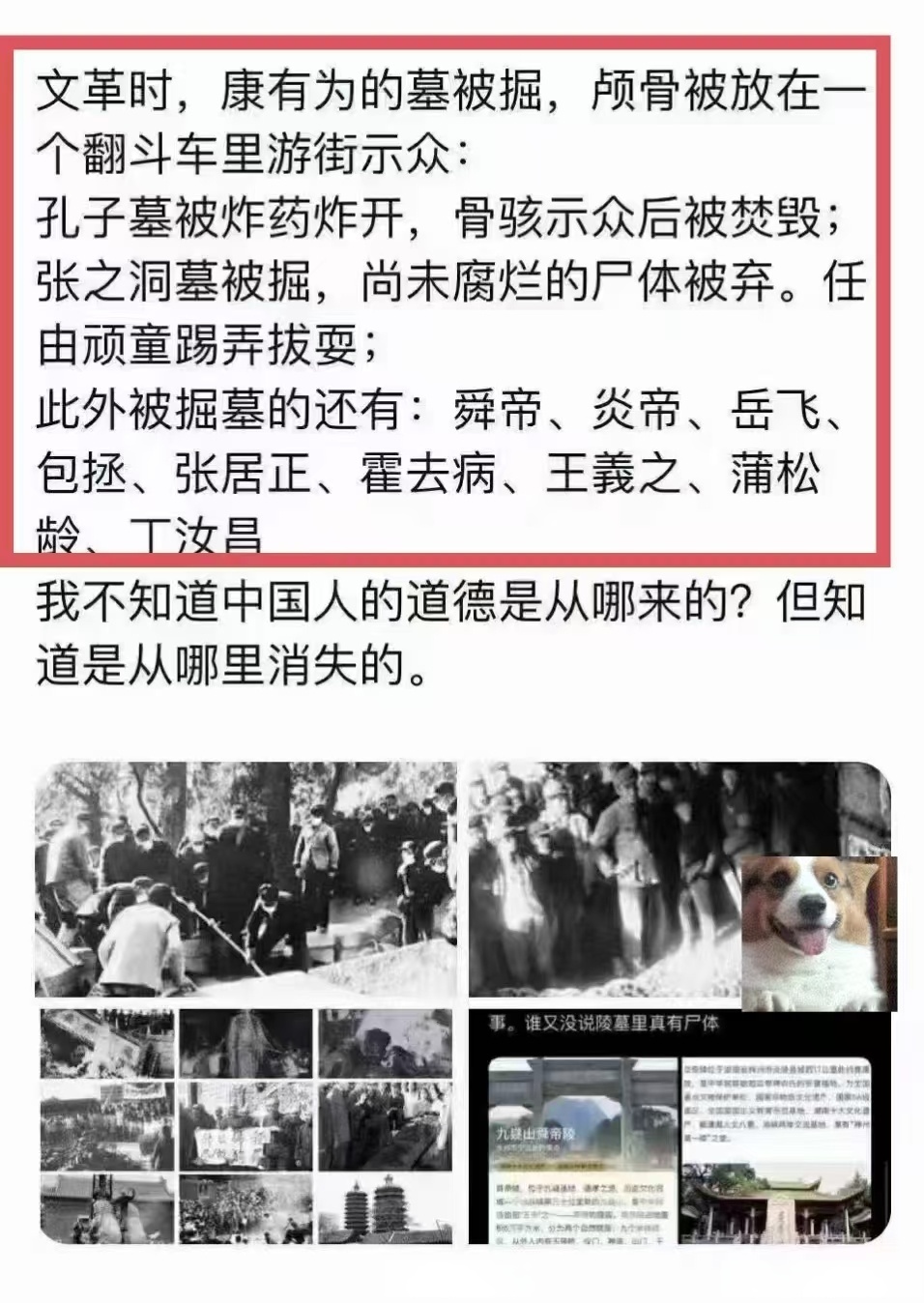 关于LDO诈骗事件被揭露，已有超TRON人被骗！的信息